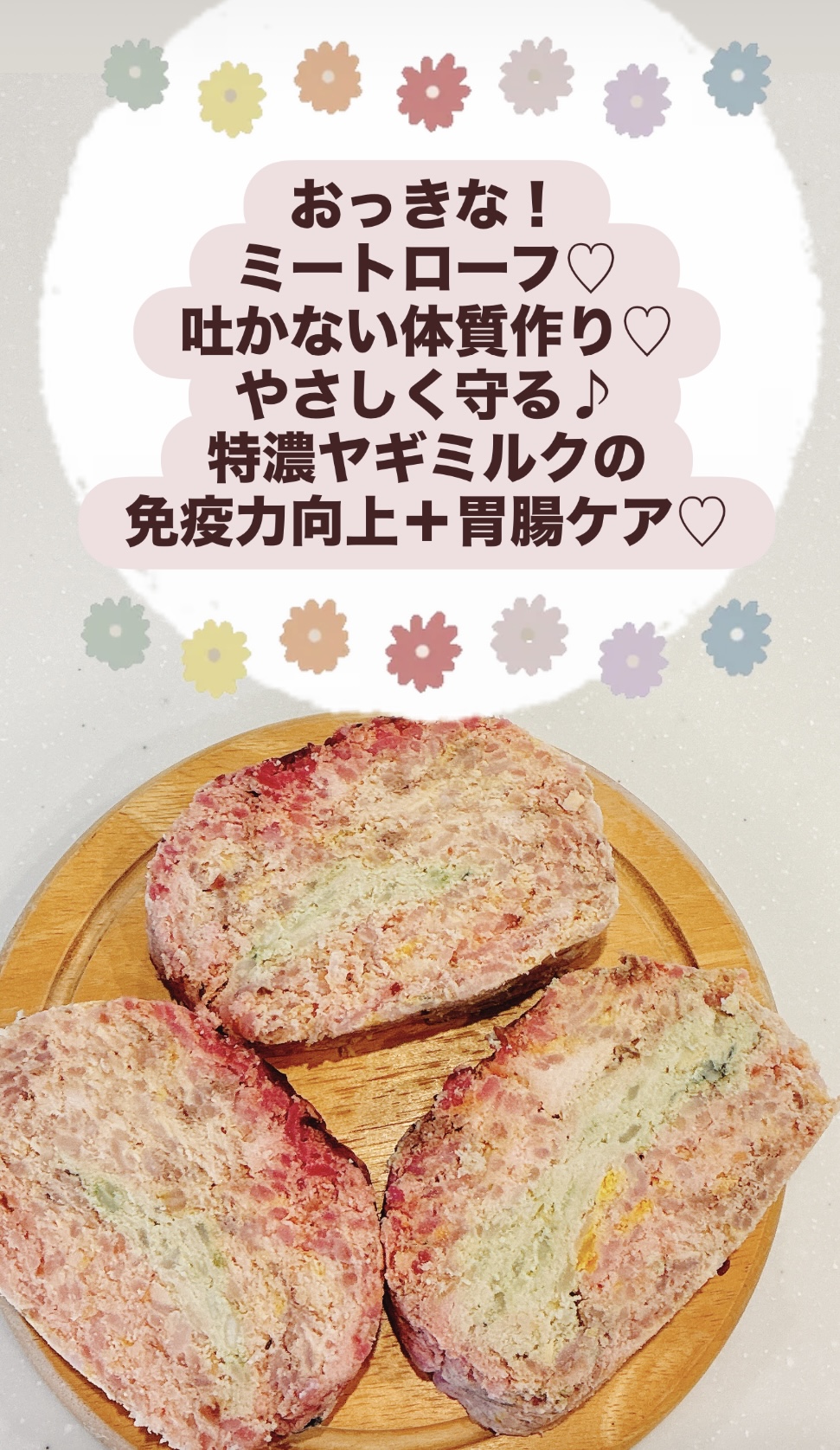 新発売♡ おっきな！ミートローフ♡ 吐かない体質作り♡やさしく守る♪ 特濃ヤギミルク！『免疫力向上＋胃腸ケア』♡ どのミートローフでも3セットご注文で手作りご飯2040円〜1セットプレゼント♡